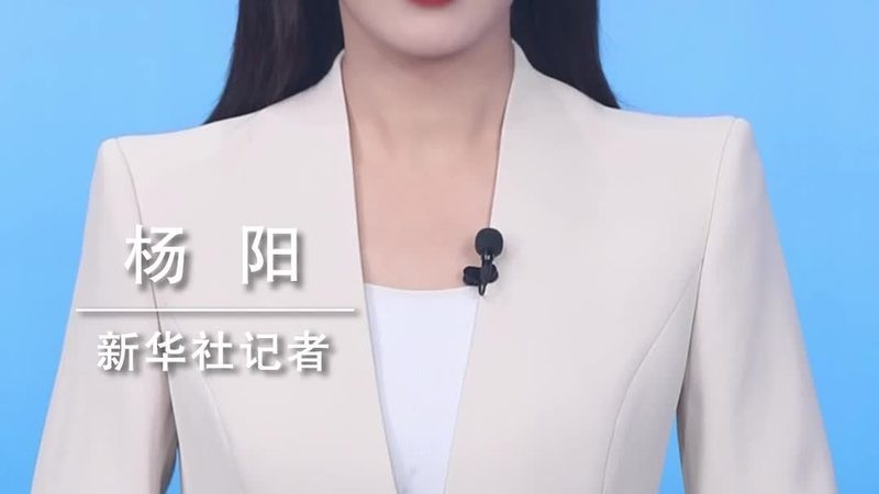 数据湖实战案例：揭秘架构设计的核心要素
